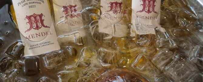 Mendel Petit Manseng