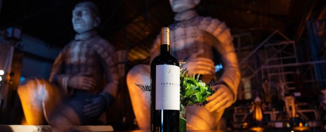 Finca Sophenia cumple sus primeros 25 Años y lanza el vino Sophenia 25 Years 4 Finca Sophenia cumple sus primeros 25 Años y lanza el vino Sophenia 25 Years