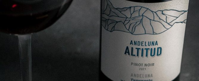 Andeluna Altitud Pinot Noir 2021 3 Andeluna Altitud Pinot Noir 2021 (1)