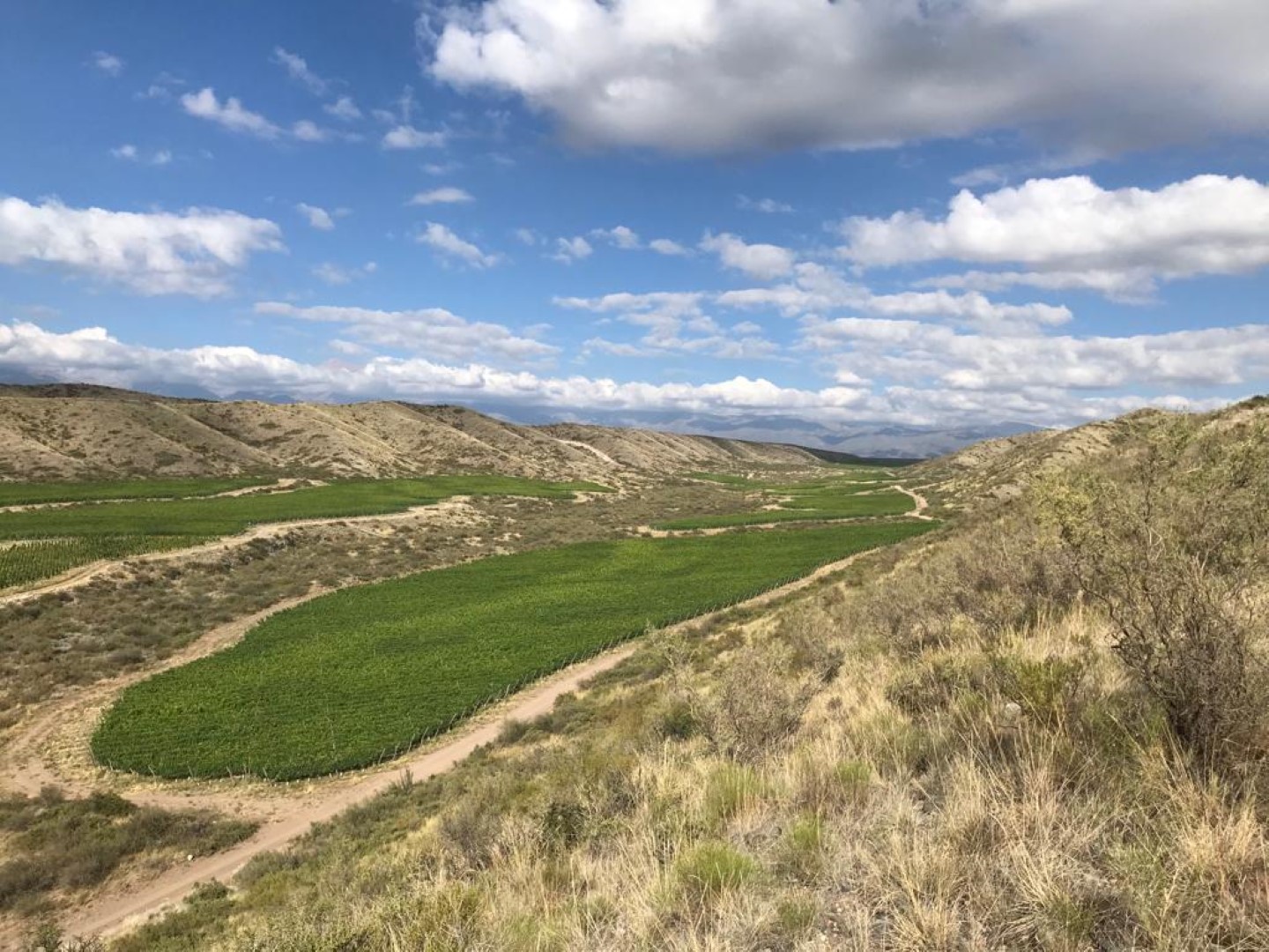 Viñalba Vinos extremos del Valle de Uco