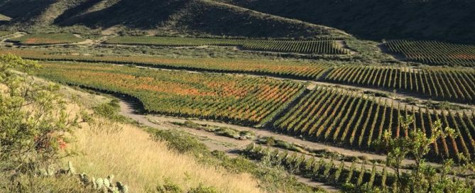 Viñalba Vinos extremos del Valle de Uco