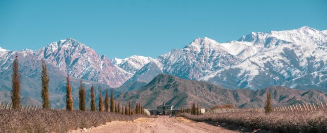 Colección Parcelas Malbec 2021