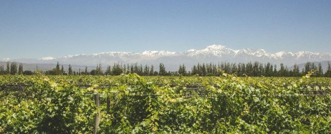 Visitar Bodegas en Mendoza este Verano 2024 1 Visitar Bodegas en Mendoza