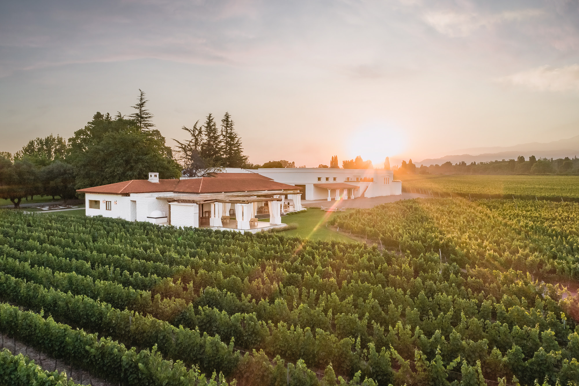 Visitar Bodegas en Mendoza este Verano 2024 2 Nieto Senetiner en Vistalba, Luján de Cuyo