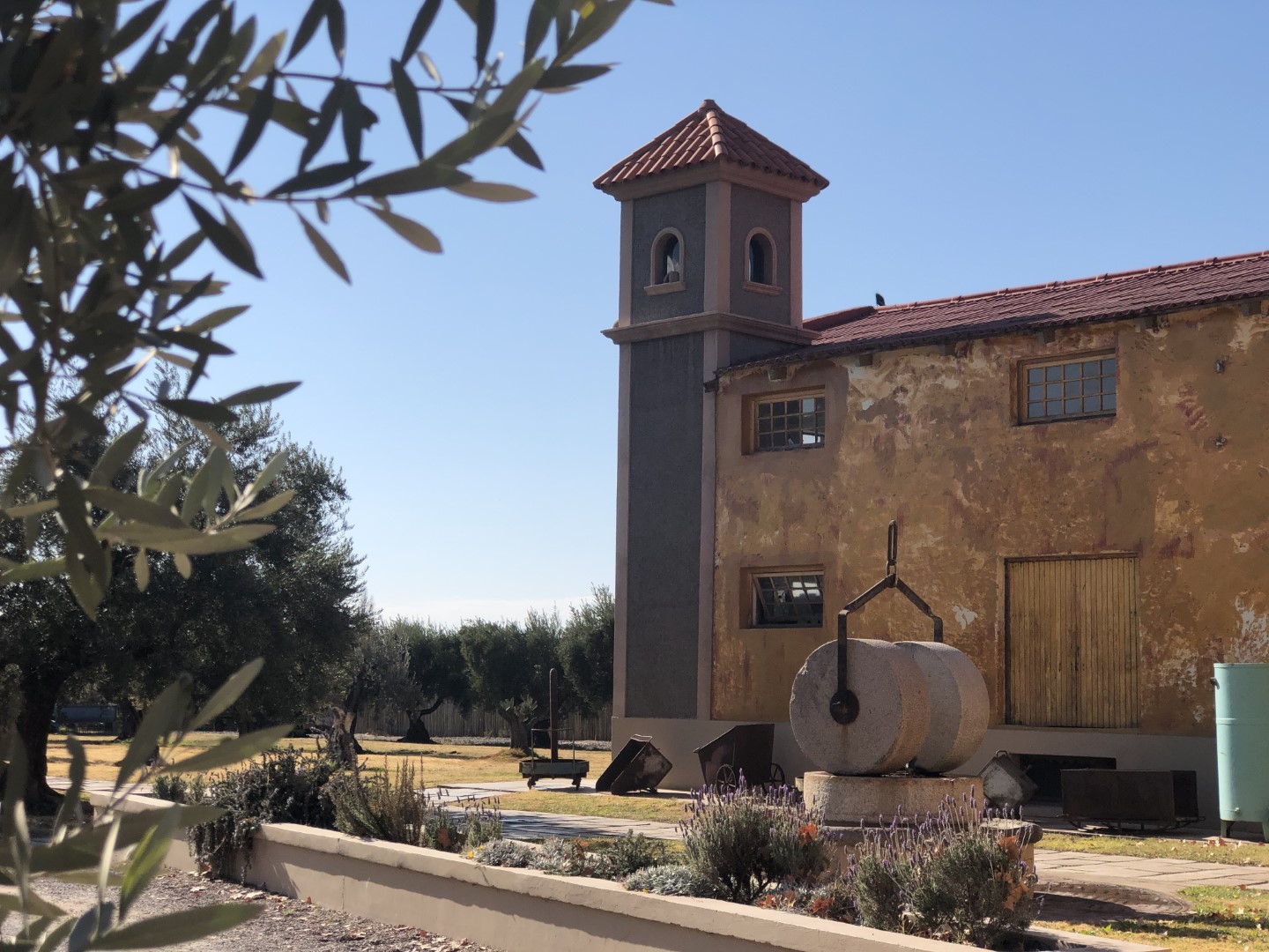 Visitar Bodegas en Mendoza este Verano 2024 8 Olívicola Laur, Cruz de Piedra, Maipú