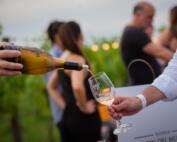 Más de 50 bodegas de todo el país llegan a Gamboa para la 6ª edición del Encuentro Federal de Vinos