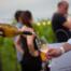 Más de 50 bodegas de todo el país llegan a Gamboa para la 6ª edición del Encuentro Federal de Vinos