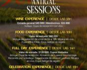 Antigal Sessions: una propuesta para disfrutar el vino, la gastronomía y la música en un entorno único