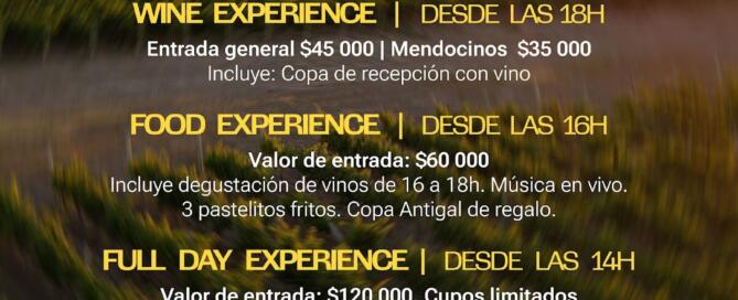 Antigal Sessions: una propuesta para disfrutar el vino, la gastronomía y la música en un entorno único