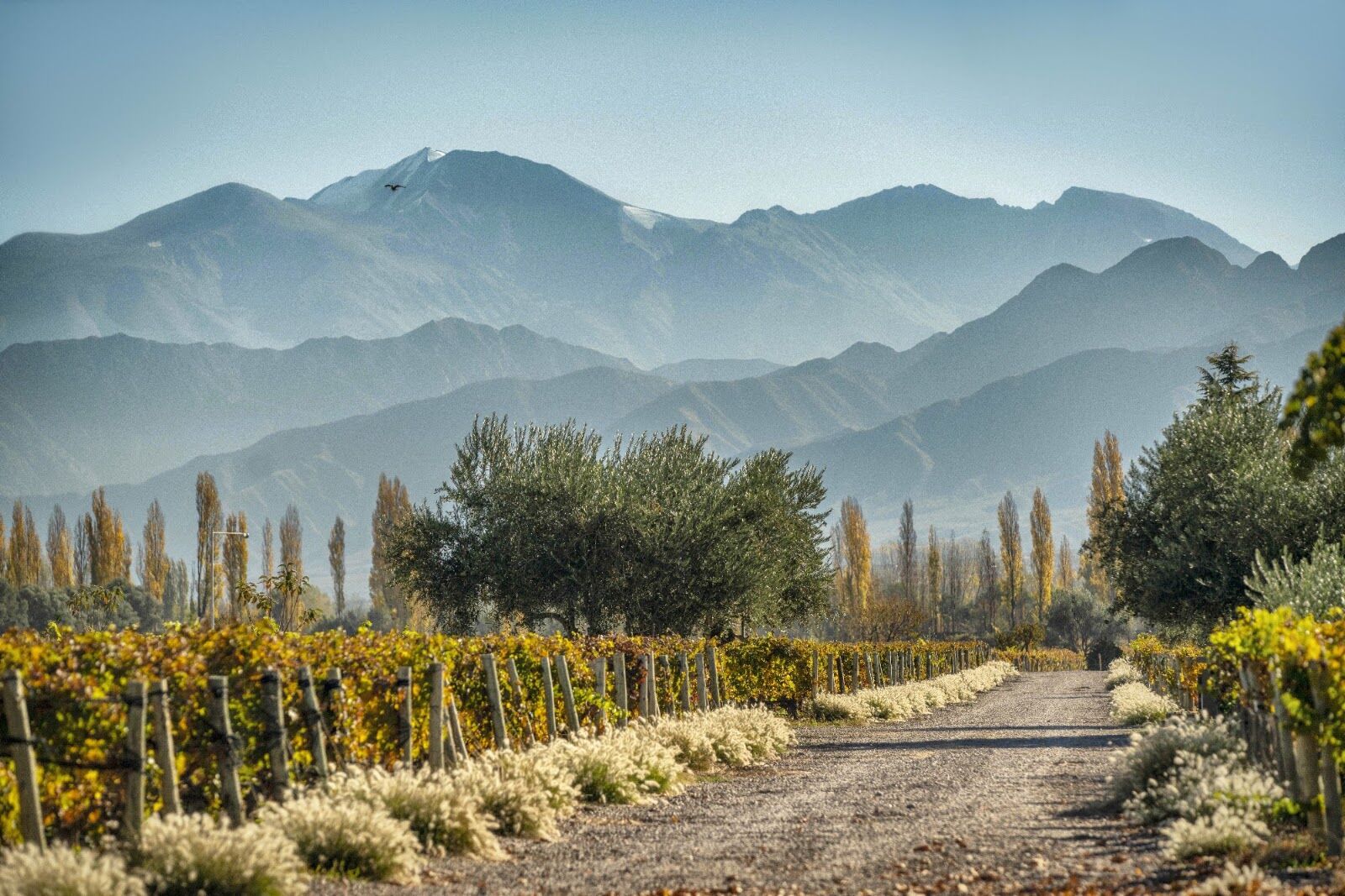 Cheval des Andes presenta su añada 2023