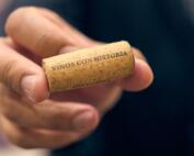 Vinos con Historia 2026 llega a su cuarta edición en el Sofitel Buenos Aires Recoleta